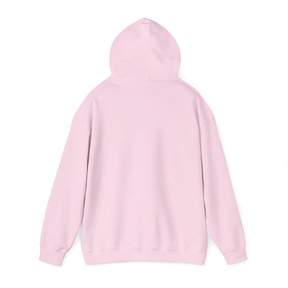 Walking in God’s Light Hoodie — Inspirational Christian Faith Sweatshirt