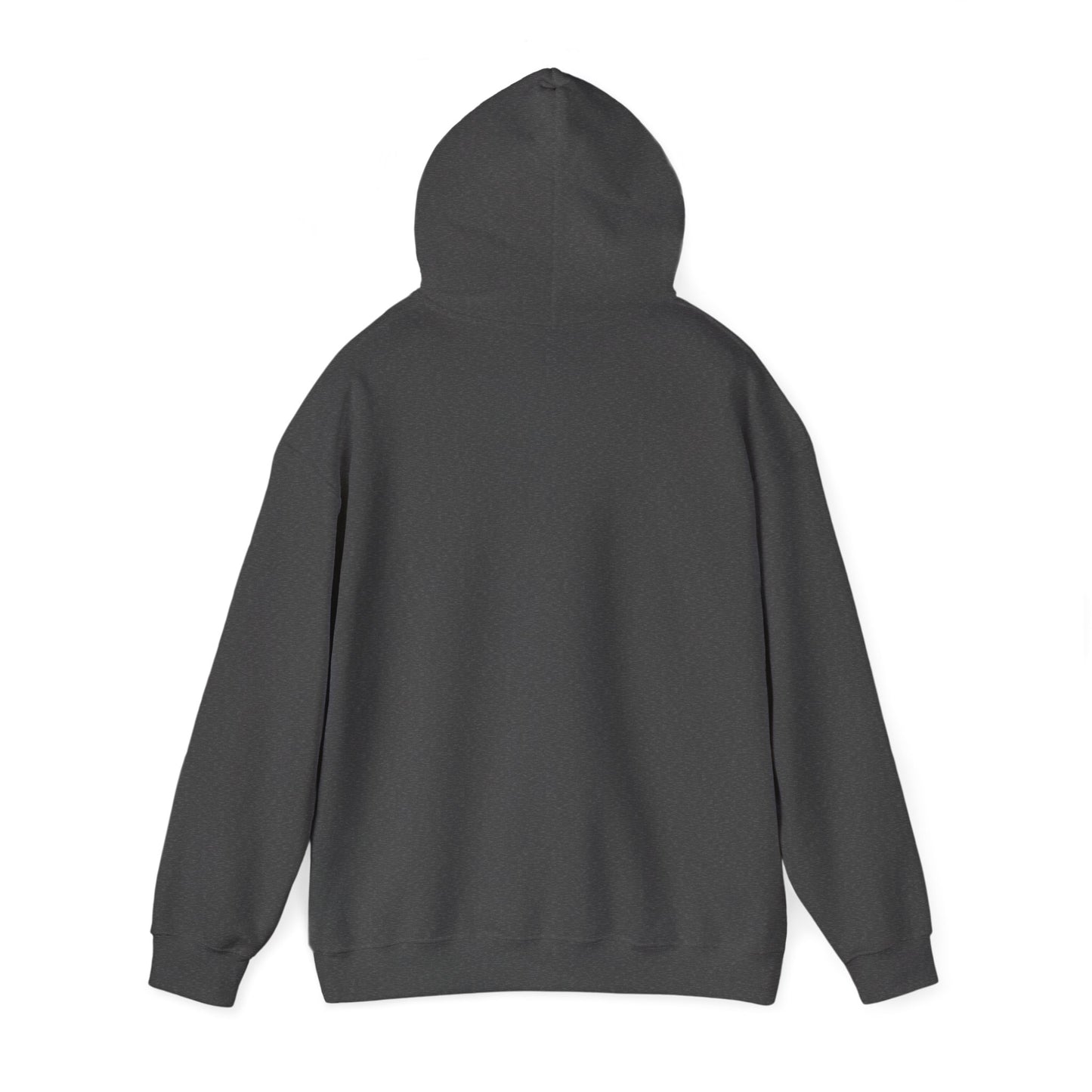 Jesus Is My Anchor Christian Hoodie