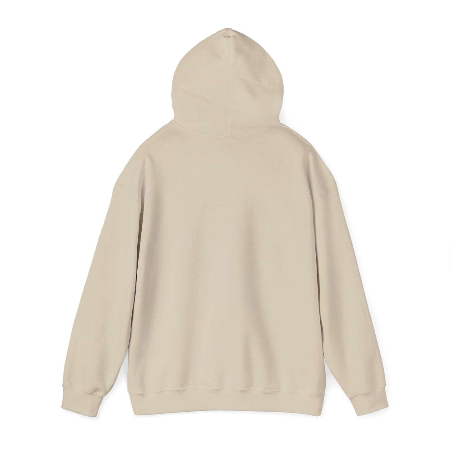 Walking in God’s Light Hoodie — Inspirational Christian Faith Sweatshirt